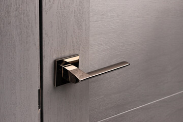 Close up of stylish new metal door knob on modern interior door.