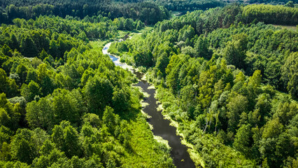 Small river on green swamps. Aerial view of nature