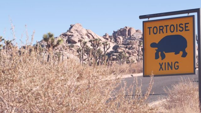 Tortoise or turtle crossing warning yellow road sign, California USA. Wild animals xing traffic signage. Wildlife fauna protection, highway in desert wilderness. Road trip in Joshua Tree national park
