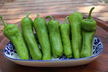 Some tiny cherry tomatoes and green peppers in white plates on wooden concept.