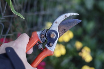 pruning tool