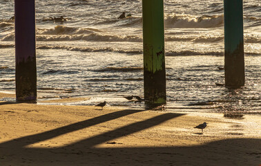 sonnenuntergang am strand von scheveningen