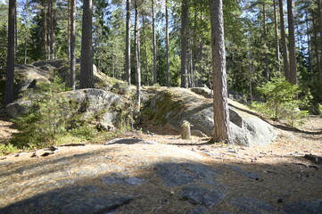 National Park in Finland Nuuksio -a journey in the greenery landscape of photos. Trees, forest, vegetation, lakes, ecoclimate, ecosystem 