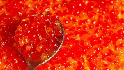 Teaspoon with juicy red caviar on background of caviar. Salmon caviar grainy. Close up.