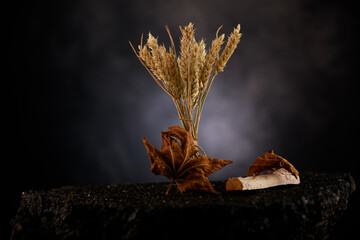 Getreide Ehre auf Aspahlt im Studio fotografiert