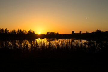 Sunrise or Sunset silhouette over a pond, lake or river water with birds flying in the distance