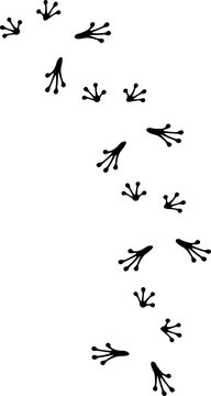 Frog footprints black and white. Png illustration. 