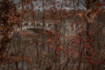  Abandoned Delaware River Viaduct 