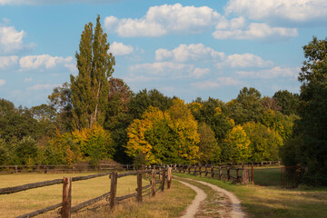The dirt road around the horse corral is lined with trees.