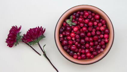 Fresh ripe of wild cowberries in brown bowl. Top view. Pink background.