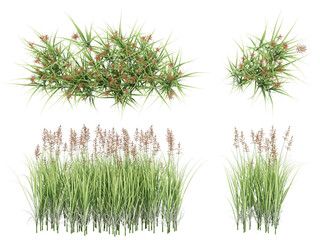 3d Render Brush Tree Isolated  on white