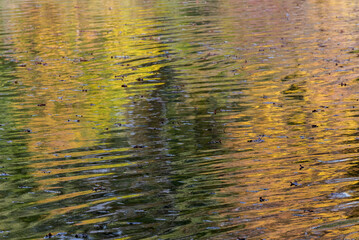 Fall Colors Reflecteed On Rippling Water On The River