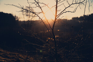 Zimowy zach&oacute;d słońca