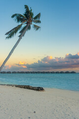 Maldives: turquoise lagoon sea with palm tree, beautiful sandy beach and blue sky, Ari Atoll