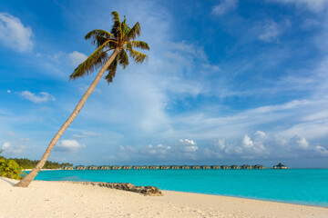 Maldives: turquoise lagoon sea with palm tree, beautiful sandy beach and blue sky, Ari Atoll