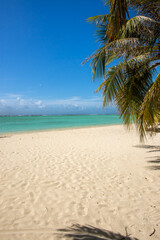 Obraz premium Maldives: turquoise lagoon sea with palm tree, beautiful sandy beach and blue sky, Ari Atoll