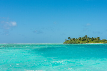Fototapeta na wymiar Maldives: Desert island with palms, turquoise sea and blue sky on Ari Atol