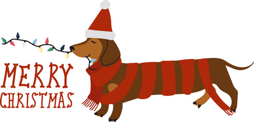 Christmas and New Year greeting postcard with holiday dachshund, Christmas card with cute dachshund in Santa hat and knitted scarf Holiday background with hand drawn cartoon character, lights, garland