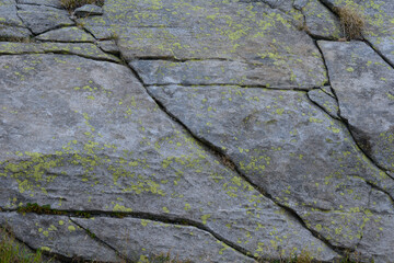 Natural rock, abstract, organic, background, texture