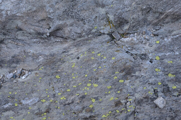 Natural rock, abstract, organic, background, texture