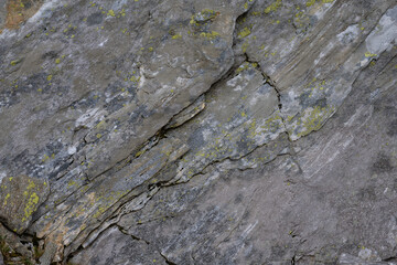 Natural rock, abstract, organic, background, texture