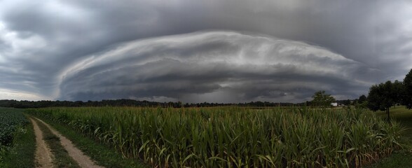 clouds over the field
