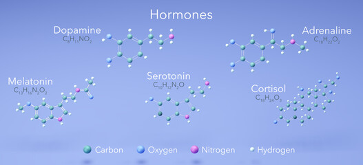 Fototapeta na wymiar Hormones - serotonin, melatonin, dopamine, adrenaline, cortisol, molecular structures, 3d model, Structural Chemical Formula and Atoms with Color Coding