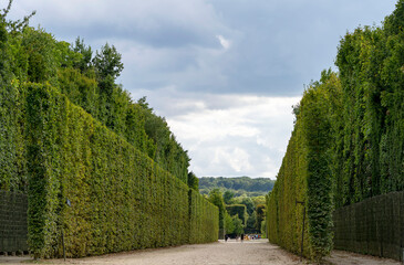 Beautiful gardens of the Palace of Versailles with trimmed trees and shrubs, landscape art of France.