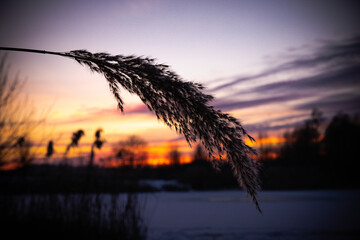 Zimowe krajobrazy, zachód słońca