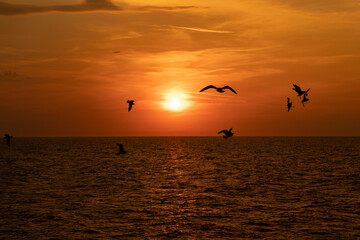 sunset in the summer evening by the sea , Baltic sea in the evening