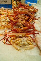 Pescaderia del Mercat de L' Olivar, Palma, Mallorca, Islas Baleares, Spain