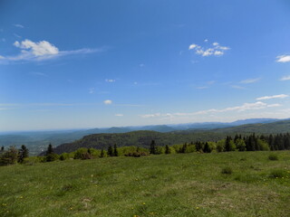 Mountains summer landscape 