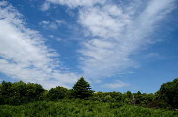 Fototapeta premium Mountains summer landscape 