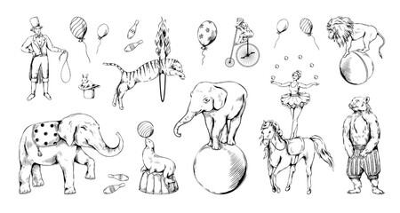 Vintage circus animal set. Bear on bike, sketch elephant and tiger, cute monkey on bicycle hand drawing. Acrobat and juggler. Engraving style decorative objects, vector isolated illustration © SpicyTruffel