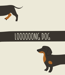 Dachshund dog, cute funny long dog in different situations vector Illustrations, cute graphic