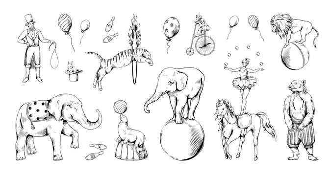 Vintage Circus Animal Set. Bear On Bike, Sketch Elephant And Tiger, Cute Monkey On Bicycle Hand Drawing. Acrobat And Juggler. Engraving Style Decorative Objects, Vector Isolated Illustration