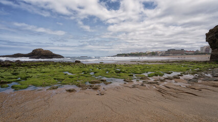 Biarritz - Grande Plage - Mar&eacute;e basse