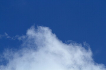 Obraz premium It’s sunny today! Let’s go on a picnic