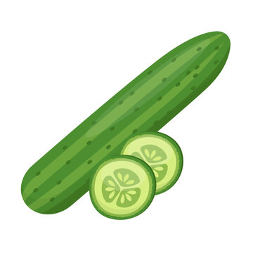 cucumber with slices flat vector illustration clipart isolated on white background