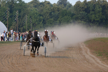 Horses and riders running in the dust at horse races