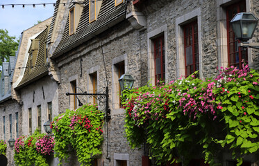 Fototapeta na wymiar The characteristic houses of the city of Quebec