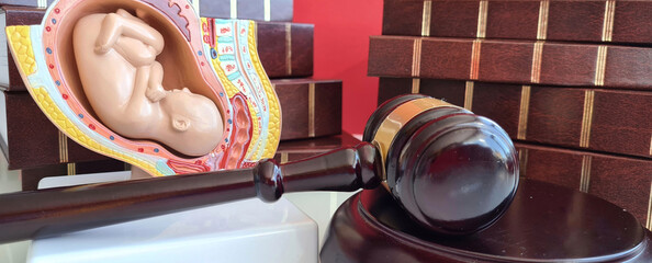 Judgment and criminal offense of surrogate motherhood