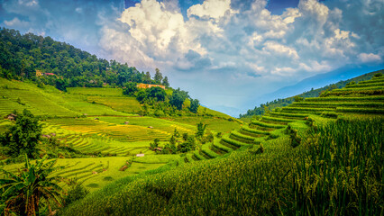 Fototapeta na wymiar Paysage de rizières en terrasses du Vietnam. Les rizières à flanc de montagne au Vietnam. Ciel nuageux