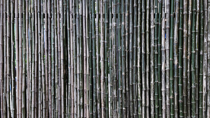 stack Bamboo tree for abstract background.