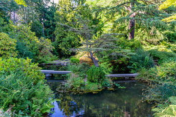 Seattle Gardens Pond