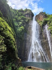 Hawaii waterfalls lush forest tropical