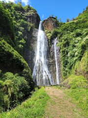 Hawaii waterfalls lush forest tropical