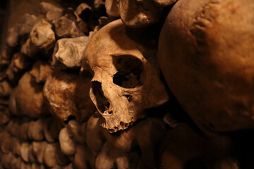 Paris catacombs skulls dark underground