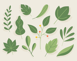 Hand drawn leaves illustration collection