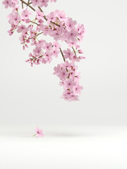 japanese style minimal cherry blossom white background for product presentation. 3d rendering illustration.. © allme3d